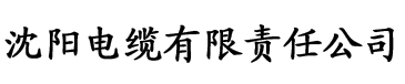 视频污网站入口电缆厂logo